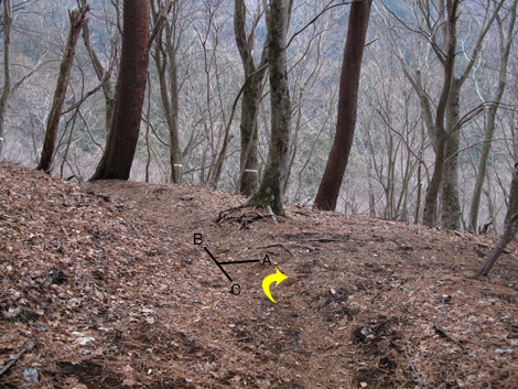 20160204hike (327)